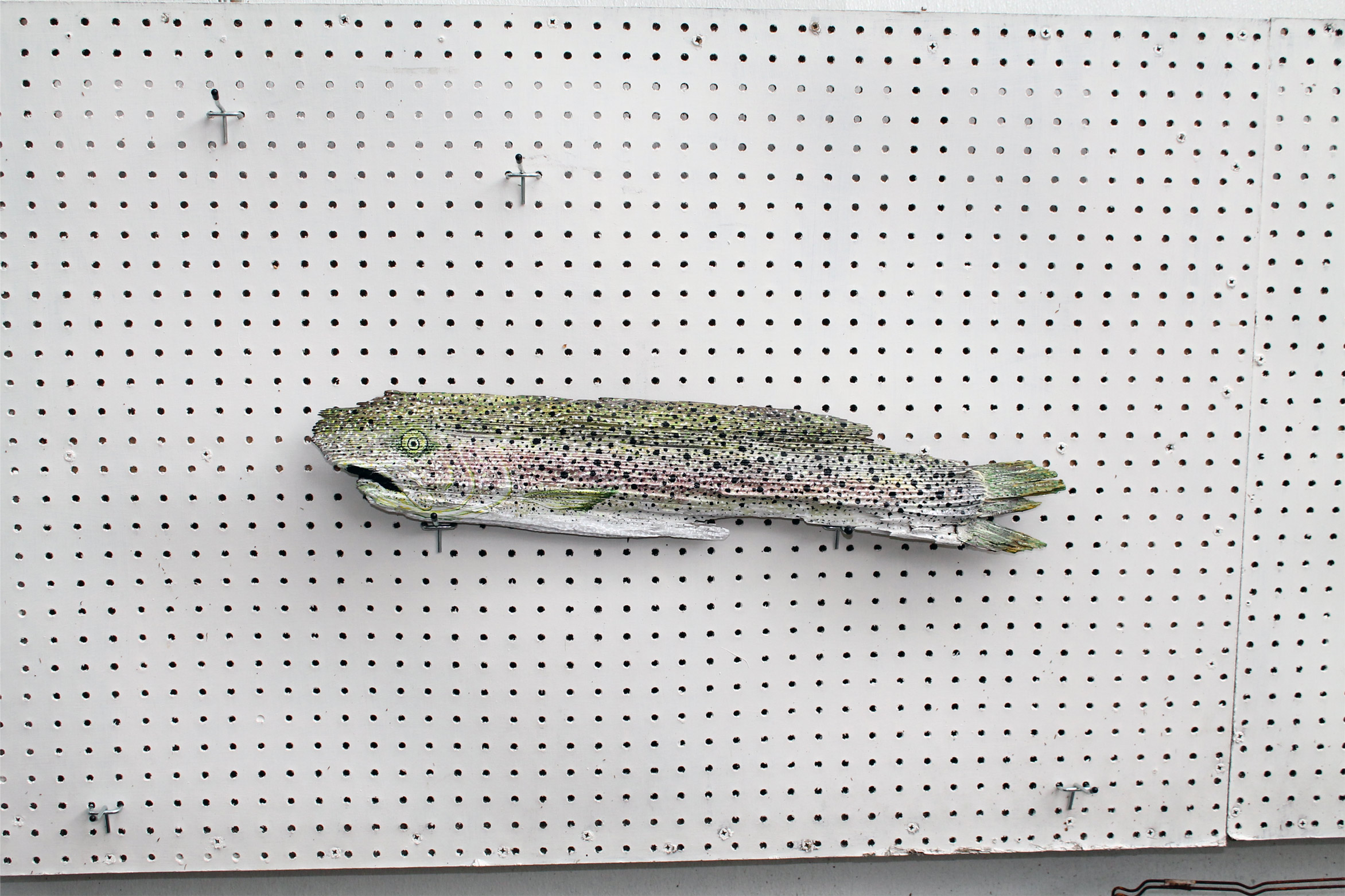 Driftwood Rainbow Trout